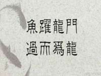 秦皇岛火恒商贸有限公司