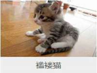 秦皇岛火恒商贸有限公司