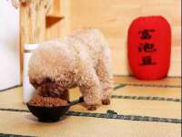 秦皇岛火恒商贸有限公司