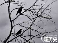 秦皇岛火恒商贸有限公司