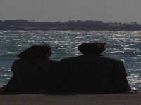 秦皇岛火恒商贸有限公司
